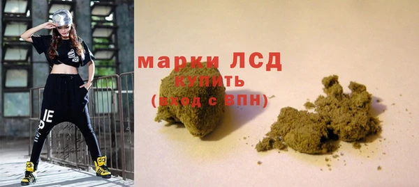 спайс Няндома