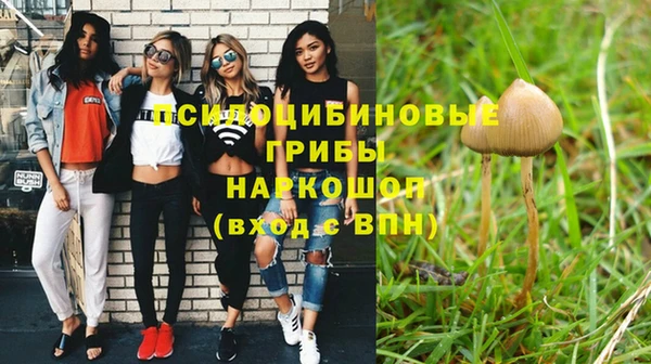 каннабис Арсеньев