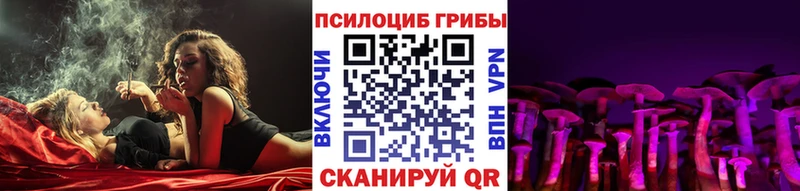 hydra   Серафимович  Псилоцибиновые грибы Psilocybine cubensis 
